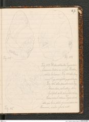 Seite 71, Tagebuch "Palästina (Tagebuch)" (NHMW-PRAE-BBB-80)
